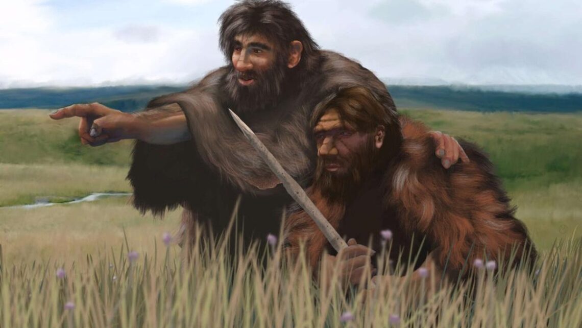 Penemuan baru tentang evolusi manusia dari fosil tengkorak
